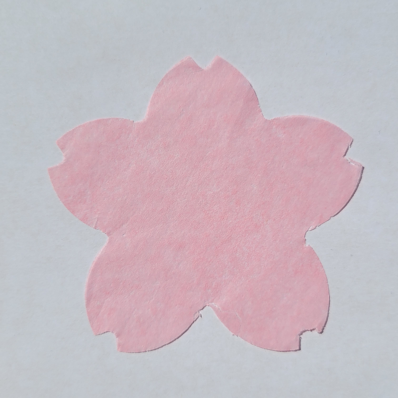 Lover light pink flower confetti