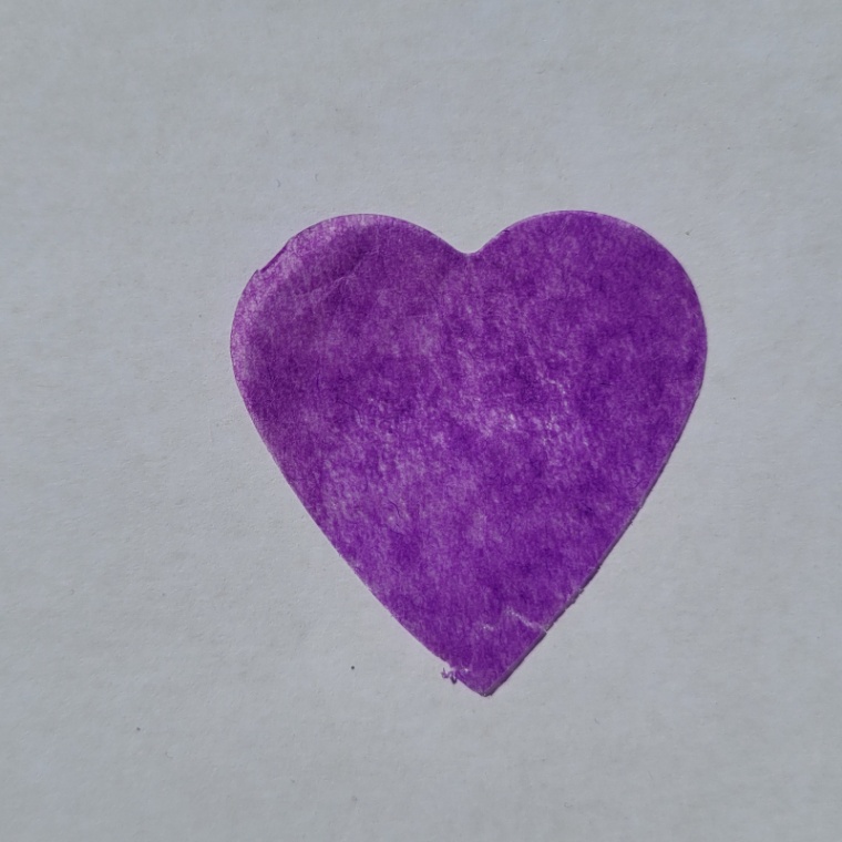 Purple Heart Fearless Tour Confetti